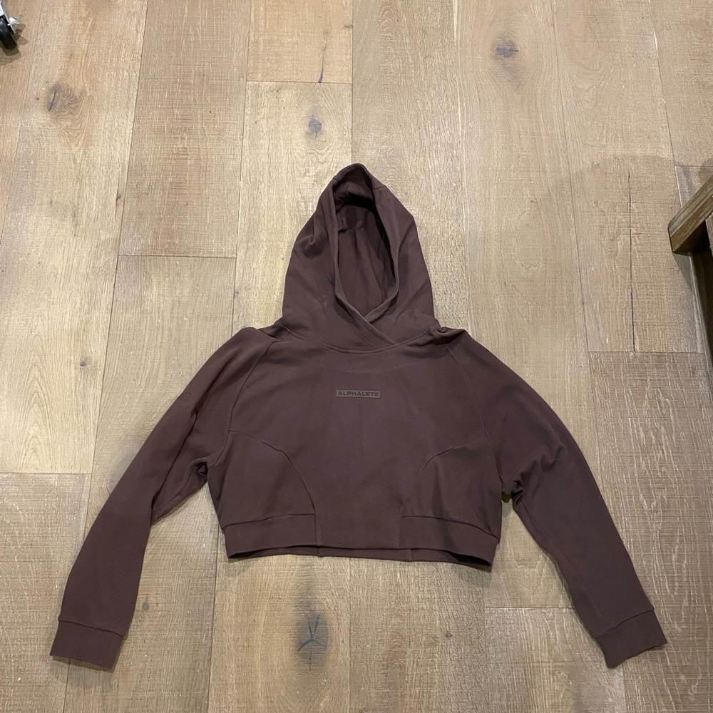 Alphalete Cropped Hoodie in Dark Brown